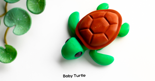 Pocket Pals - Articulated Fidget Toy - Baby Turtle